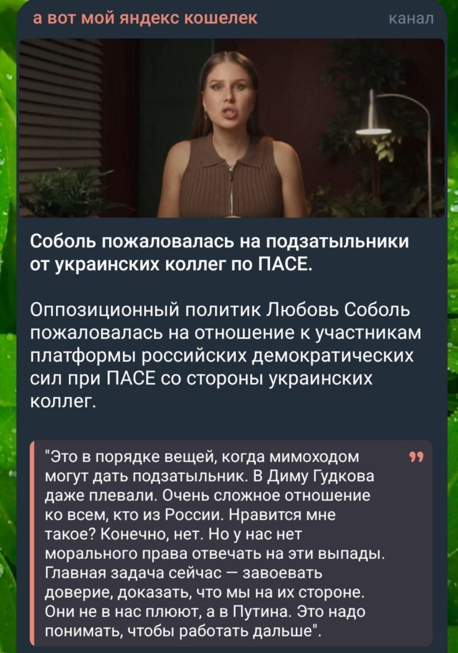 Похоже на правду