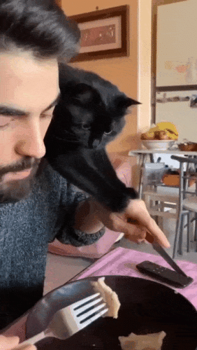 Просто гифки, всякие и&nbsp;разные