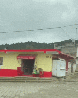 Просто гифки, всякие и&nbsp;разные