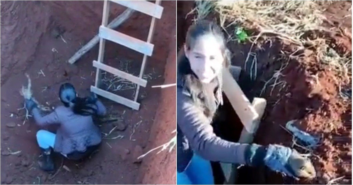 Спасение, радость и неожиданное продолжение