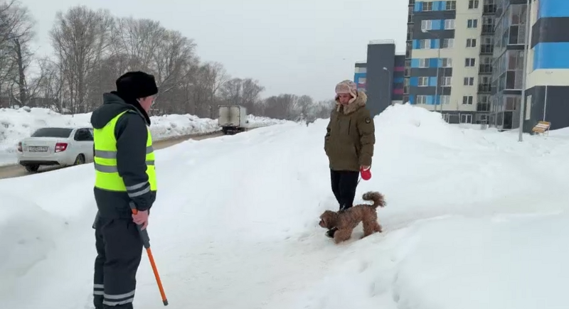 В Казани прошел рейд по выявлению нечипированных собак