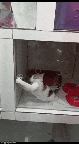 Просто гифки, всякие и&nbsp;разные