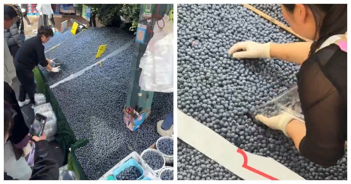В Китае килограмм голубики продают всего за 460 рублей