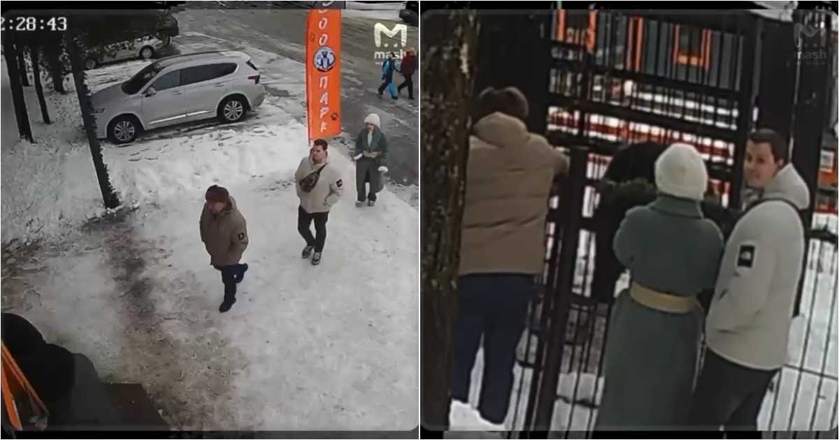 В Токсово медведя спасли после передозировки сладкой сгущёнки