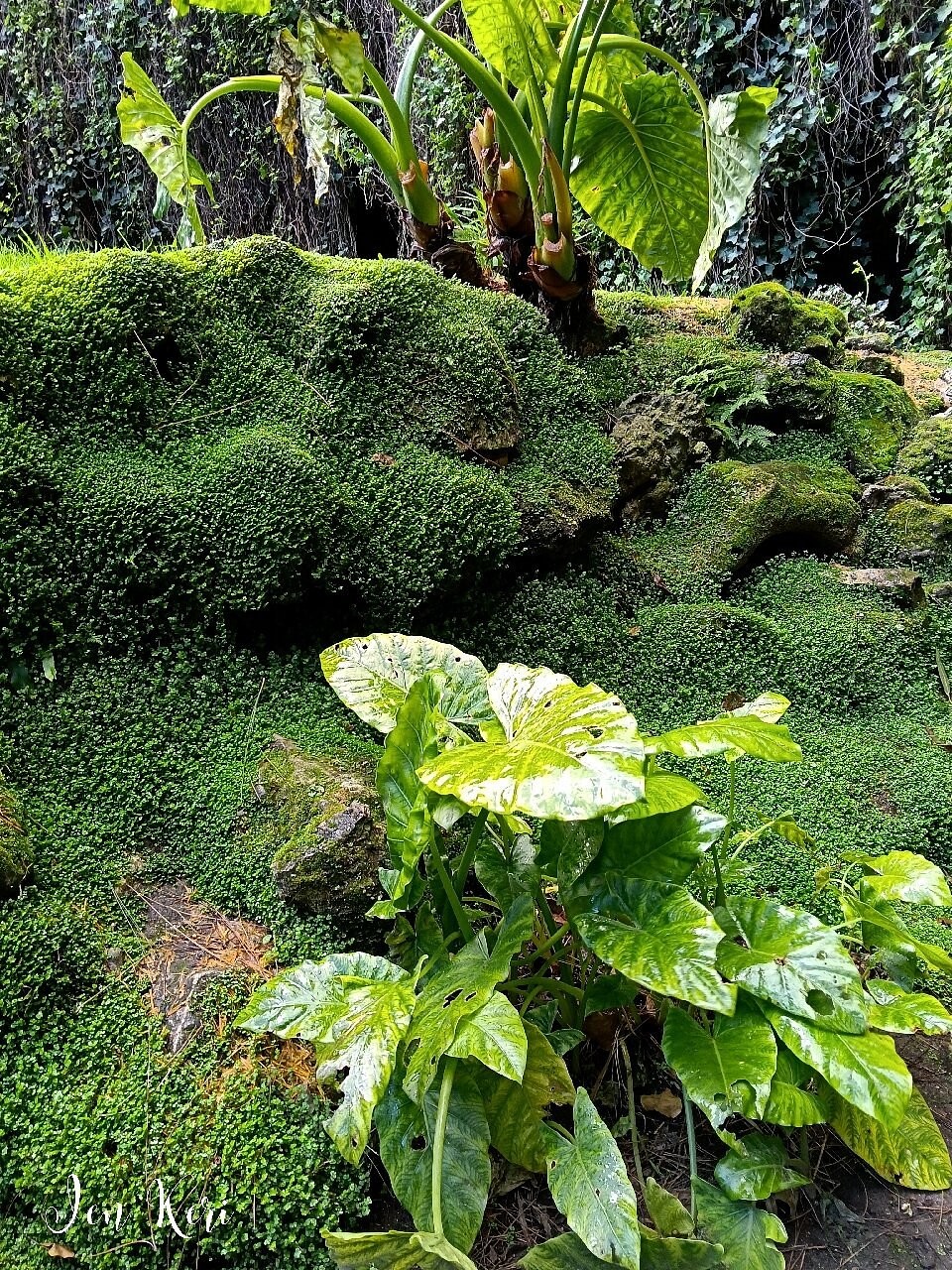 Австралийская бездна, превратившаяся в райский сад Умферстон