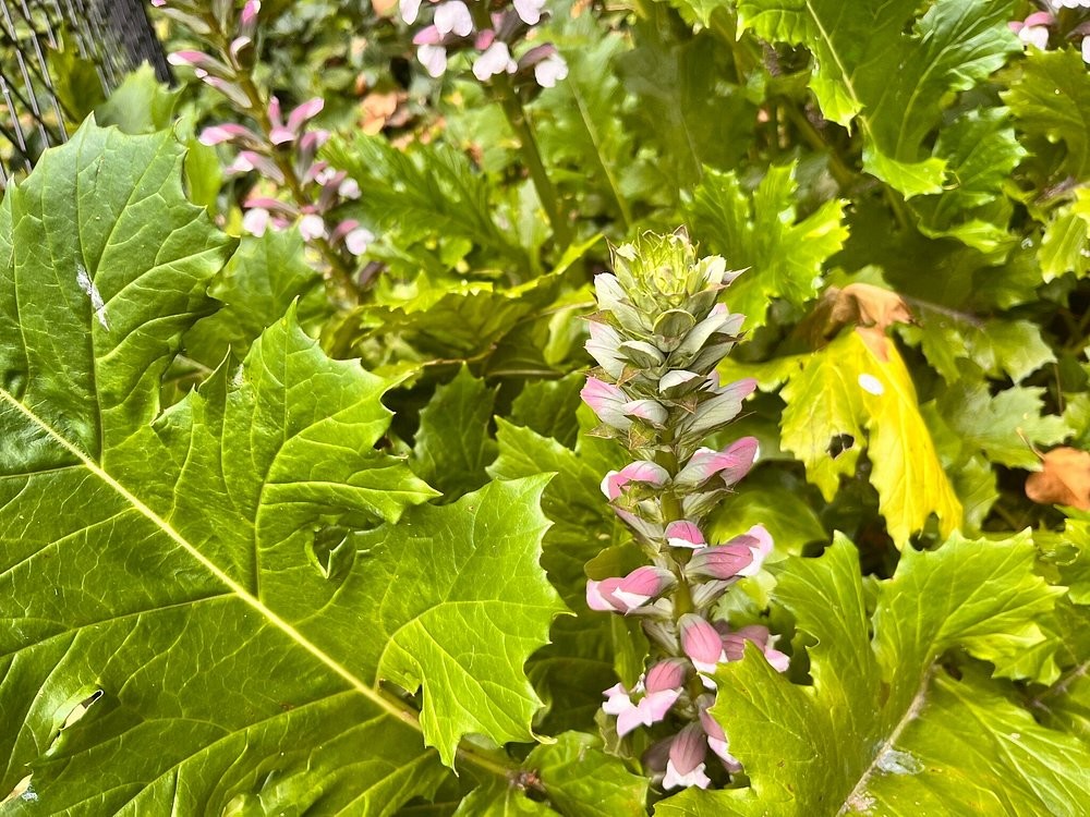 Австралийская бездна, превратившаяся в райский сад Умферстон