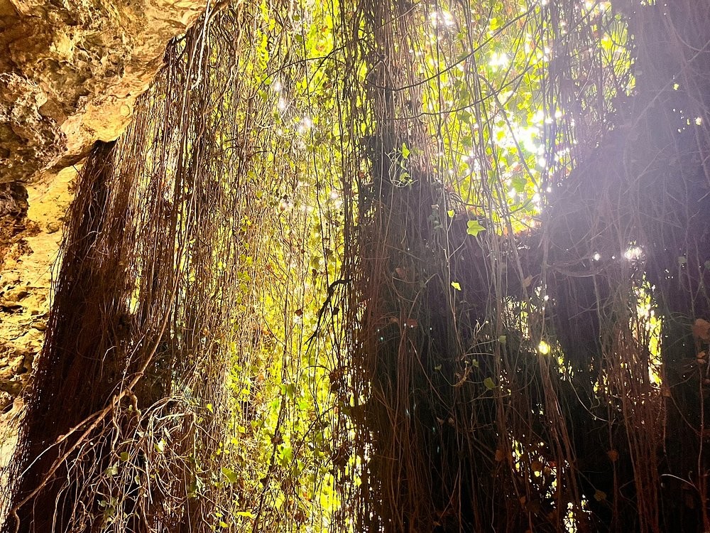 Австралийская бездна, превратившаяся в райский сад Умферстон