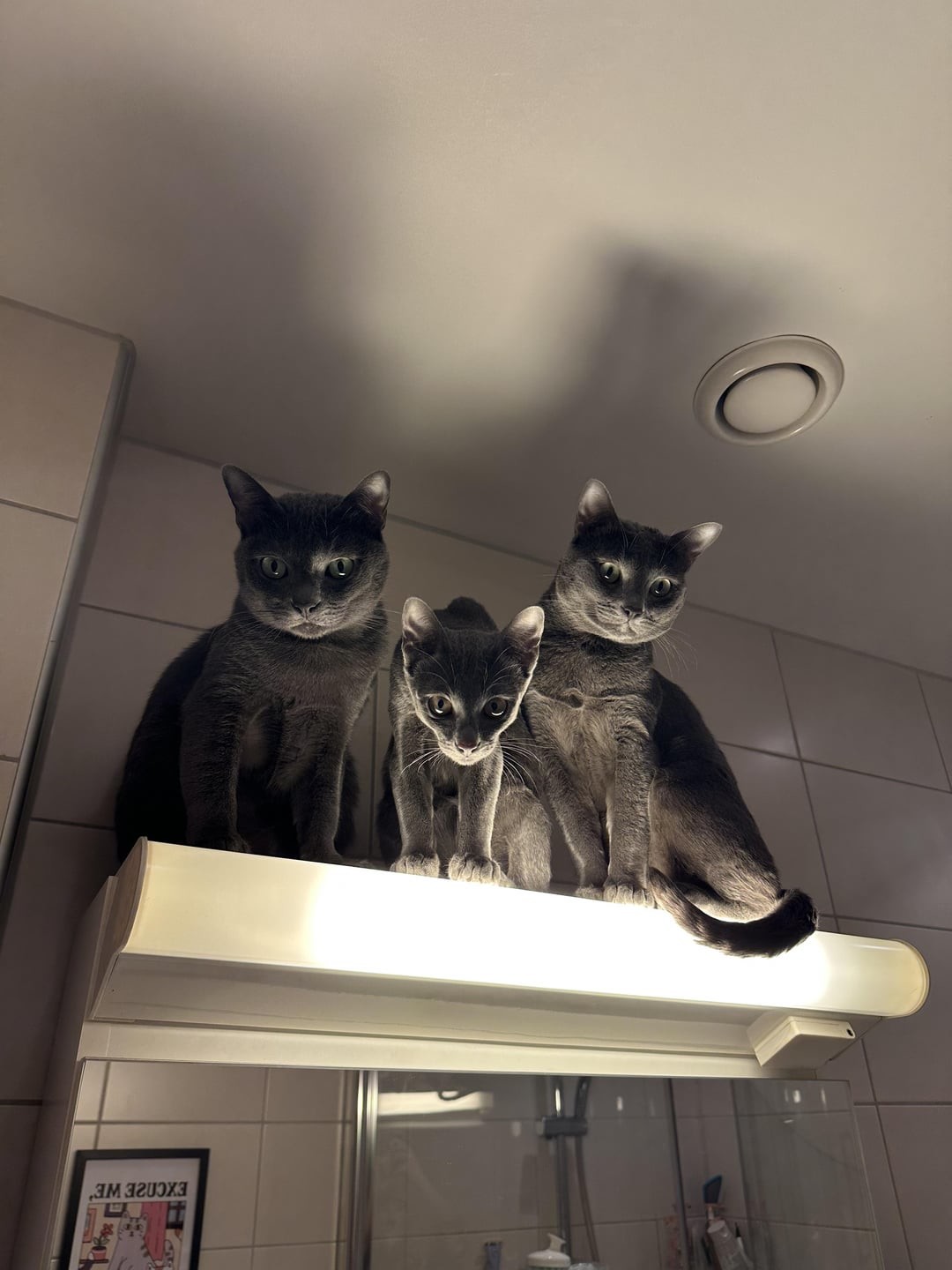 27. Ты расскажешь нам всё