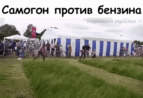 Просто гифки, всякие и&nbsp;разные