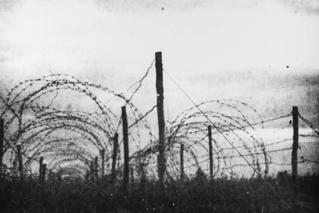 Ограда из колючей проволоки, окружавшая территорию лагеря Клоога. Сентябрь 1944 года. Фото-Hans Soosaar