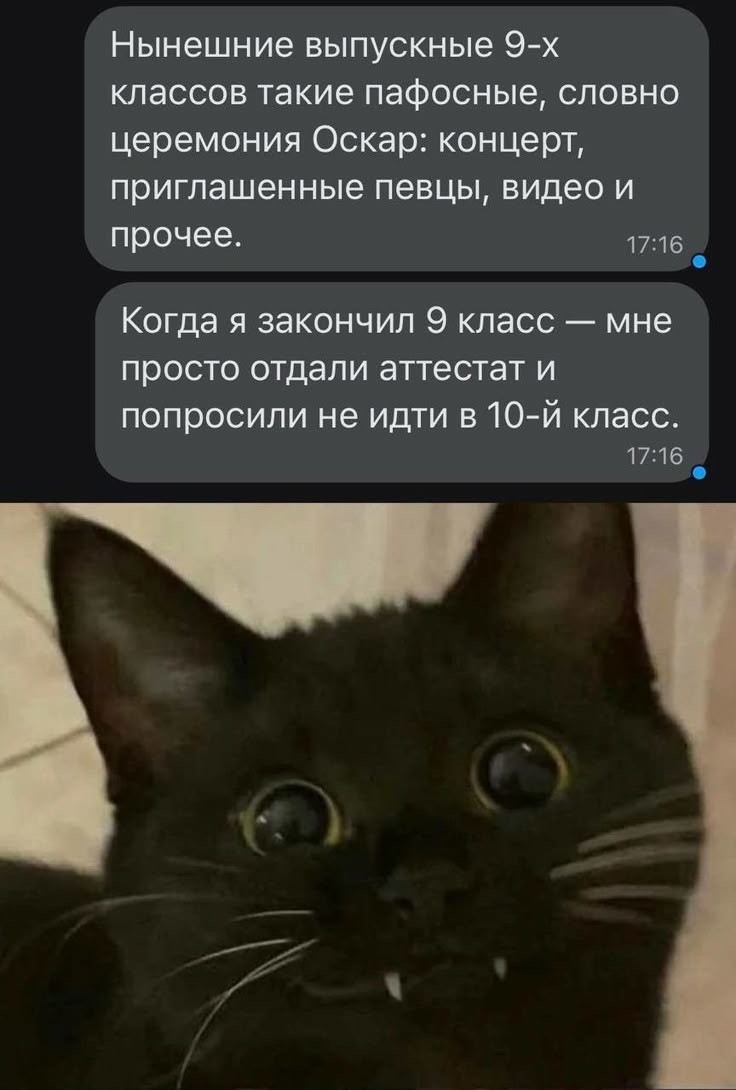 Весëлые картинки