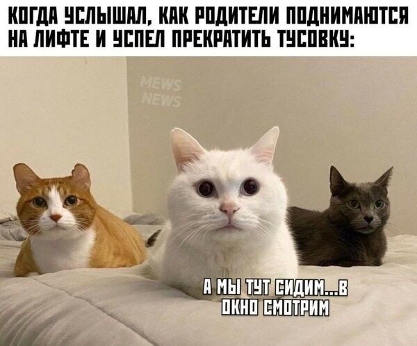 Весëлые картинки