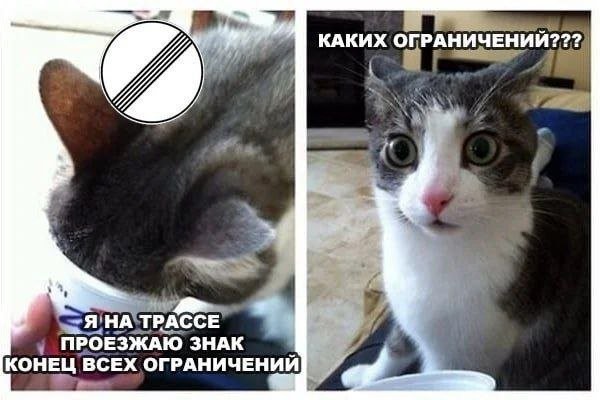Скрины из соцсетей