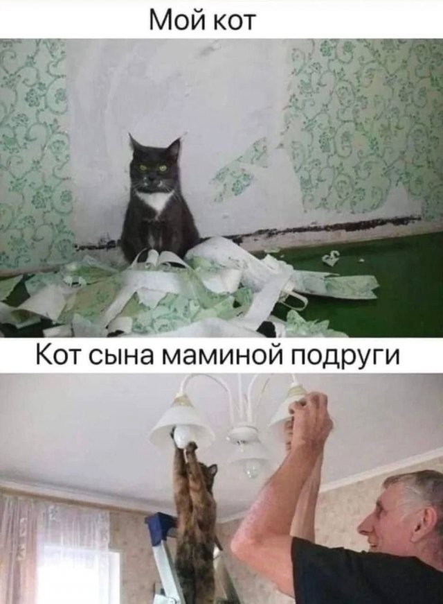 Скрины из соцсетей