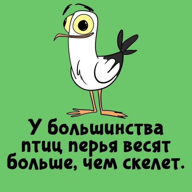 А вдруг ты не знал…