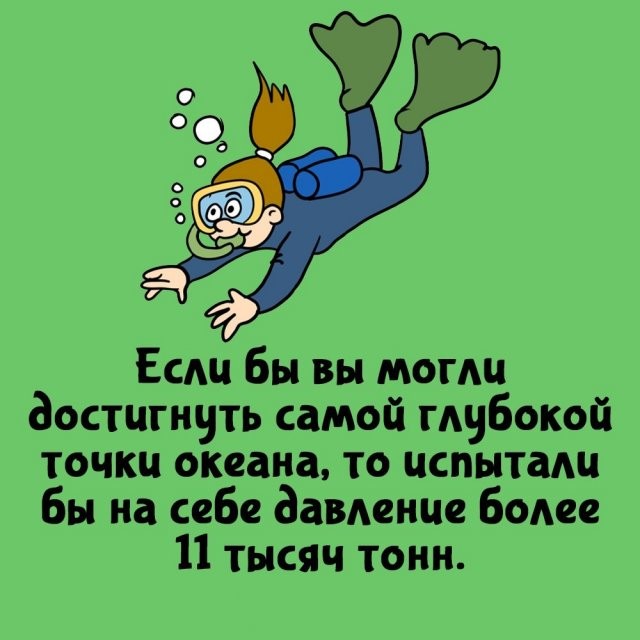 А вдруг ты не знал…