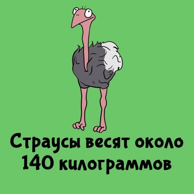 А вдруг ты не знал…