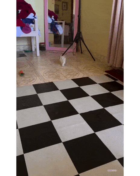 Просто гифки, всякие и&nbsp;разные