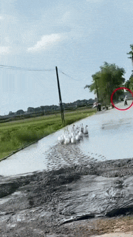 Просто гифки, всякие и&nbsp;разные