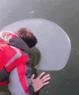 Просто гифки, всякие и&nbsp;разные