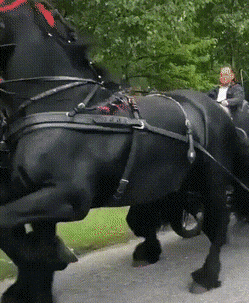 Просто гифки, всякие и&nbsp;разные