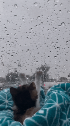 Просто гифки, всякие и&nbsp;разные