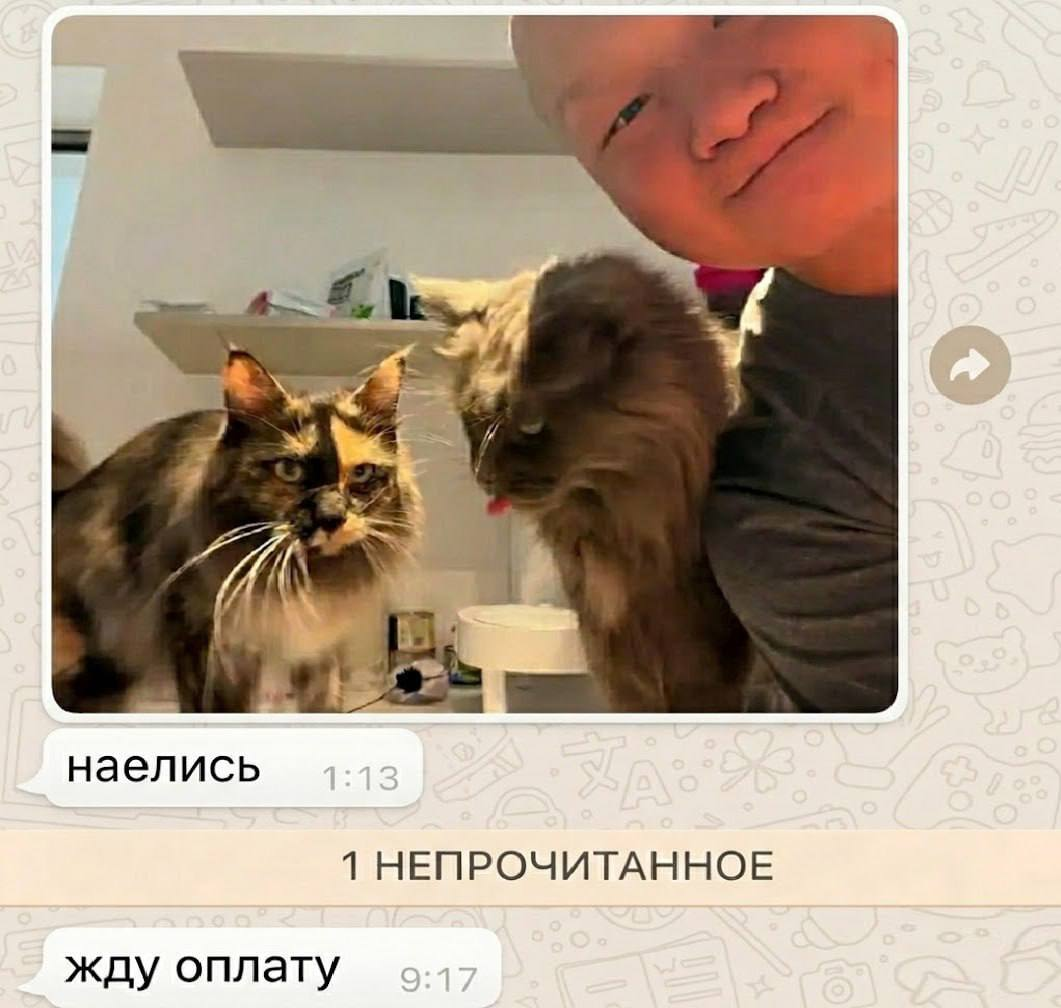 Китаец заработал $23 000 за неделю, работая кото-няней