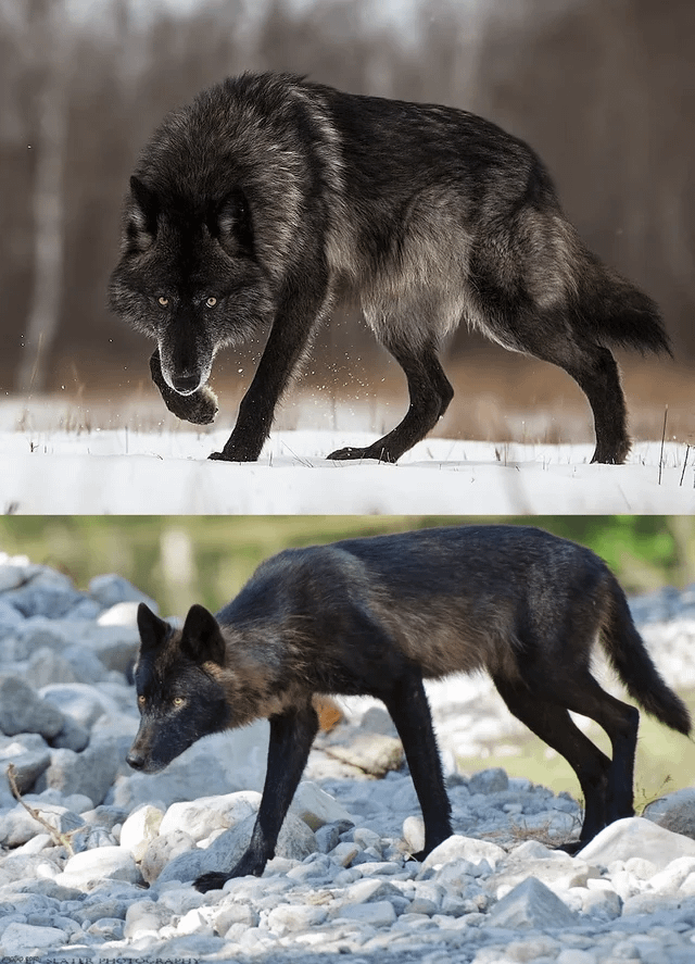 Когда природа говорит сама за себя: 25 кадров, пробуждающих жажду странствий