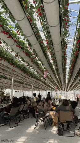 Просто гифки, всякие и&nbsp;разные