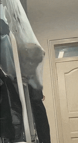 Просто гифки, всякие и&nbsp;разные