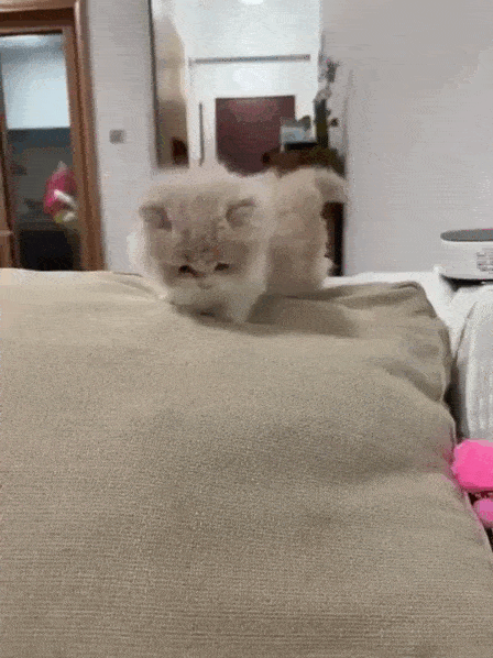 Просто гифки, всякие и&nbsp;разные