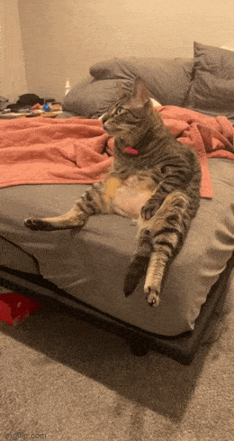 Просто гифки, всякие и&nbsp;разные