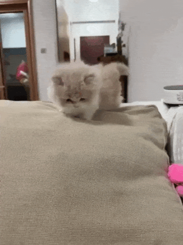 Просто гифки, всякие и&nbsp;разные