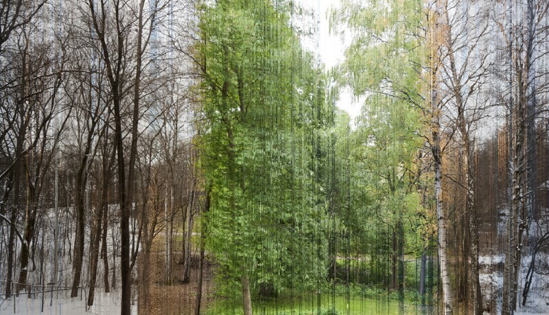 20. Фото состоит из 365 фрагментов, каждый из которых соответствует одному дню года