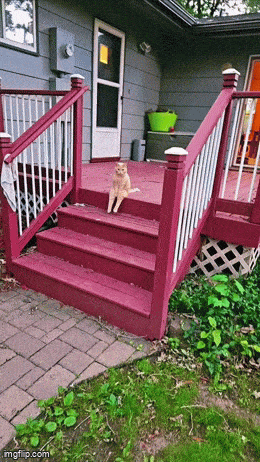 Просто гифки, всякие и&nbsp;разные