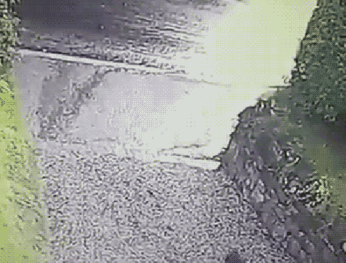 Просто гифки, всякие и&nbsp;разные