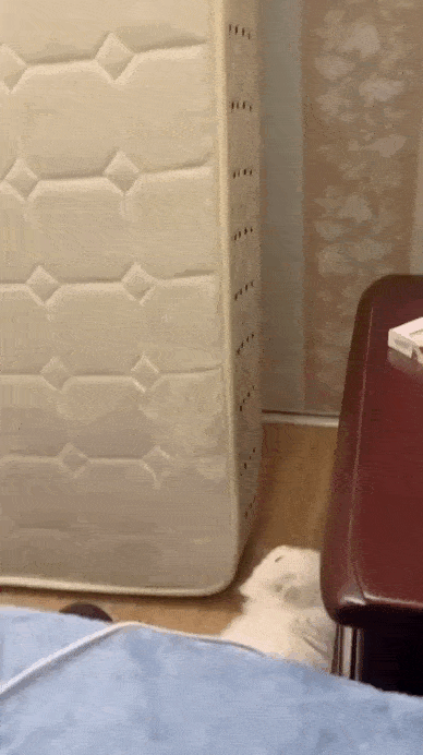 Просто гифки, всякие и&nbsp;разные