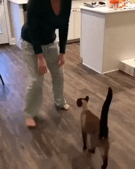 Просто гифки, всякие и&nbsp;разные