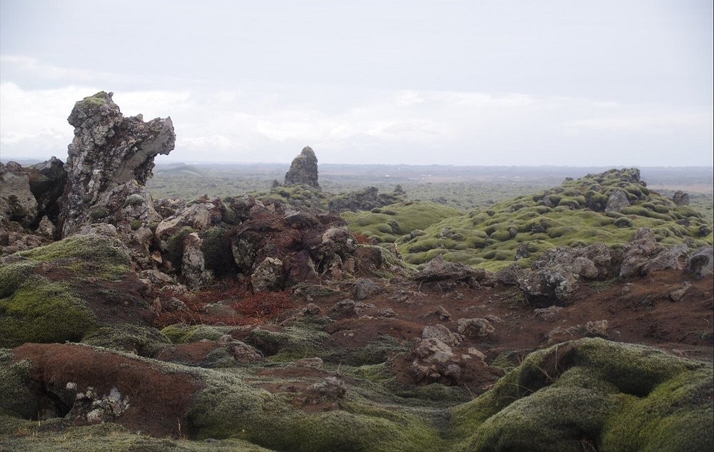 Мох Исландии, сумевший скрыть последствия ужасной катастрофы