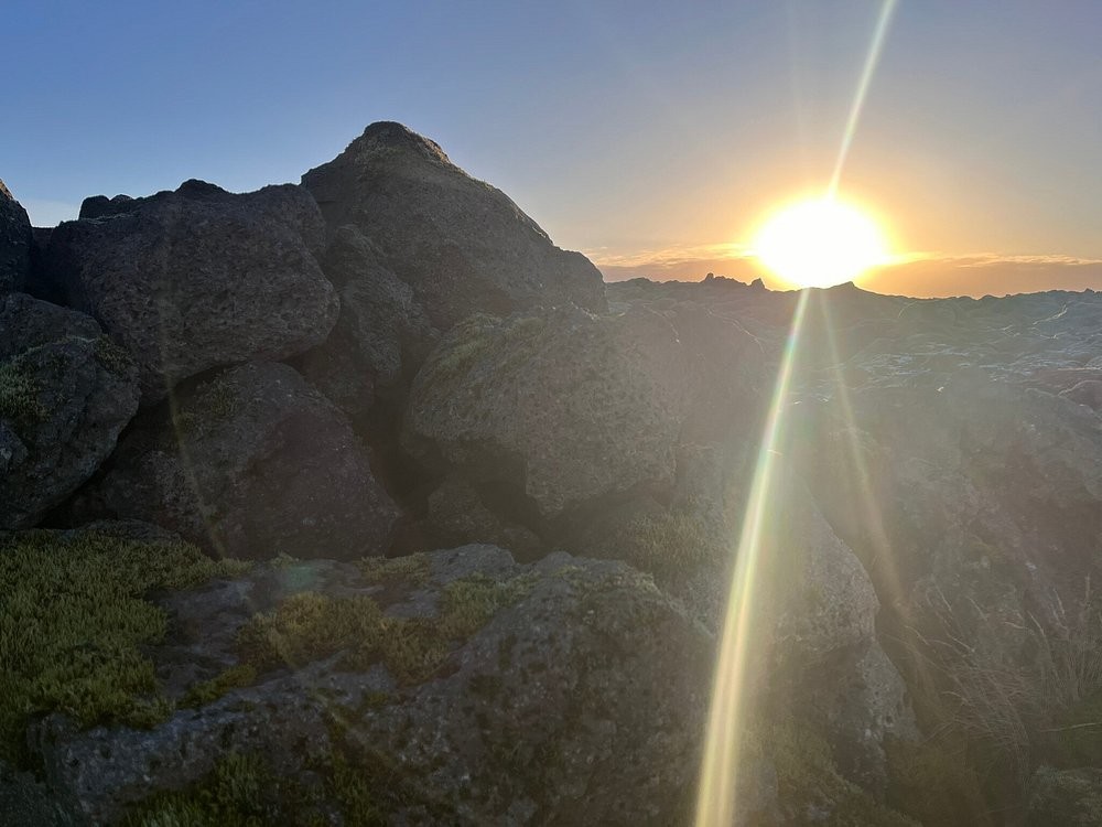 Мох Исландии, сумевший скрыть последствия ужасной катастрофы