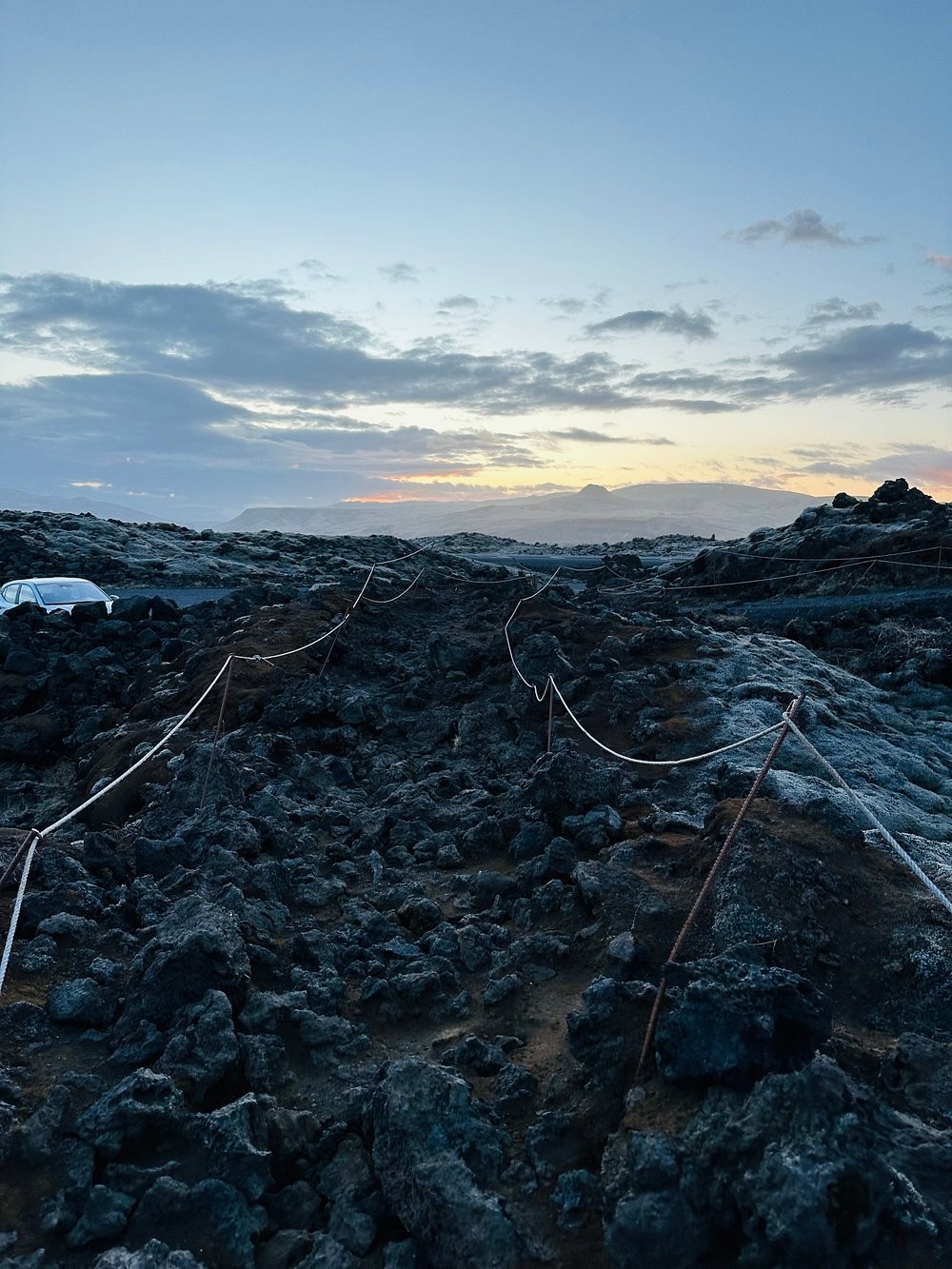 Мох Исландии, сумевший скрыть последствия ужасной катастрофы