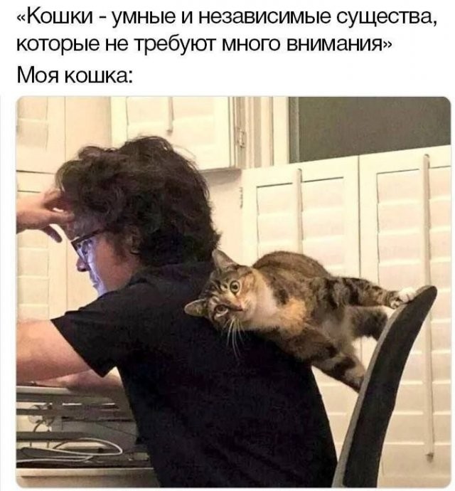 Скрины из соцсетей