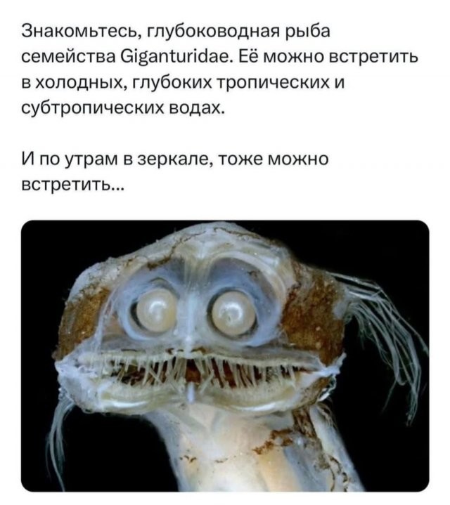 Скрины из соцсетей