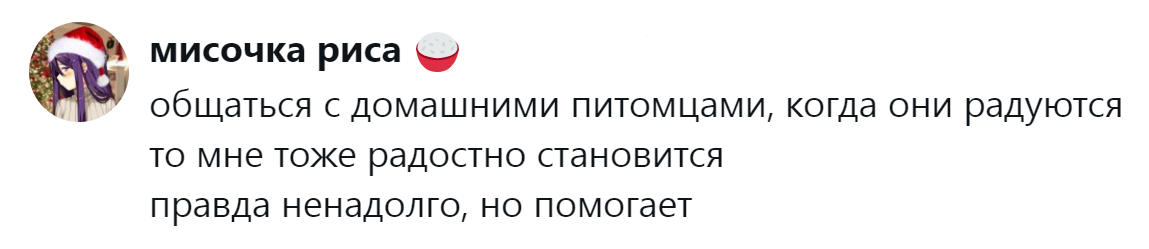 14. Радость дарит общение с питомцами