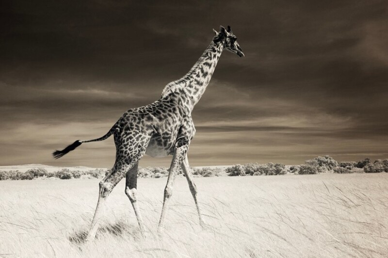 Фото Piper Mackay