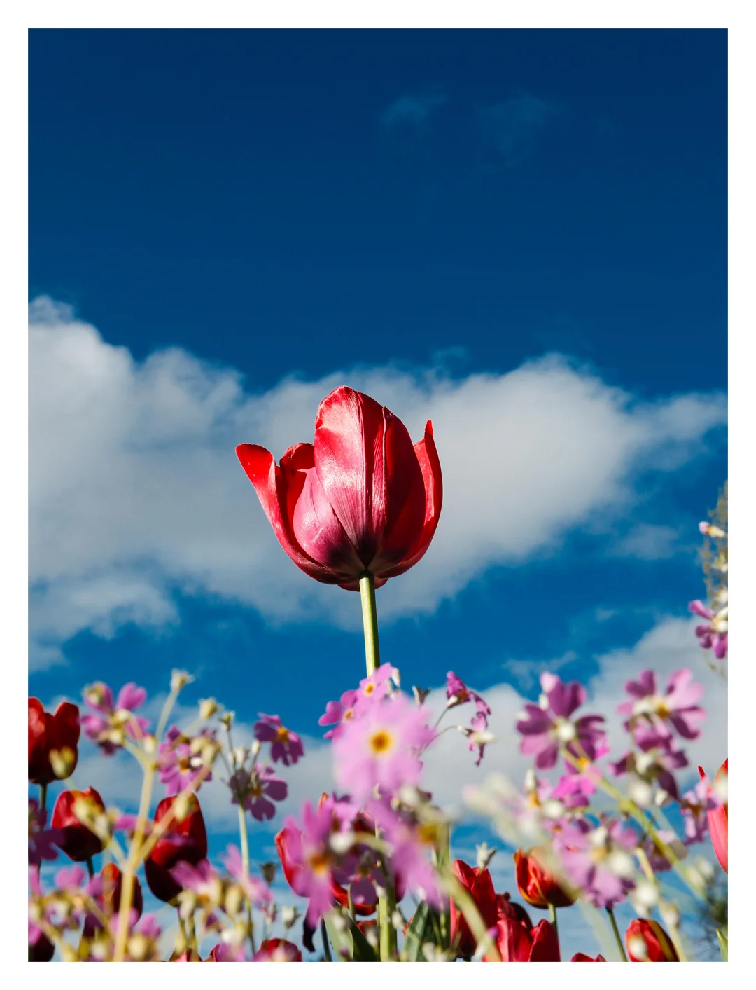 7. Ода весне