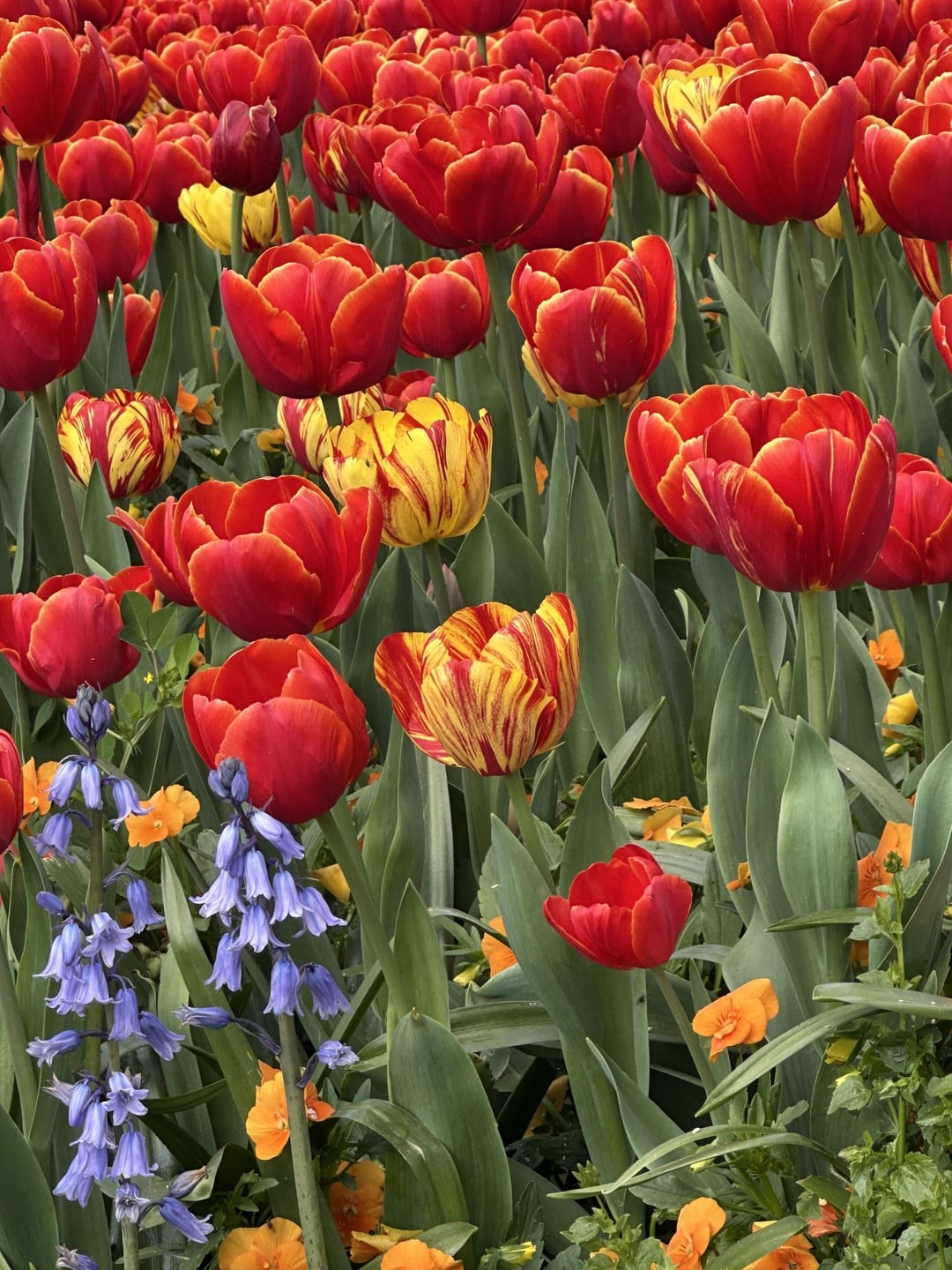 24. Мартовское настроение