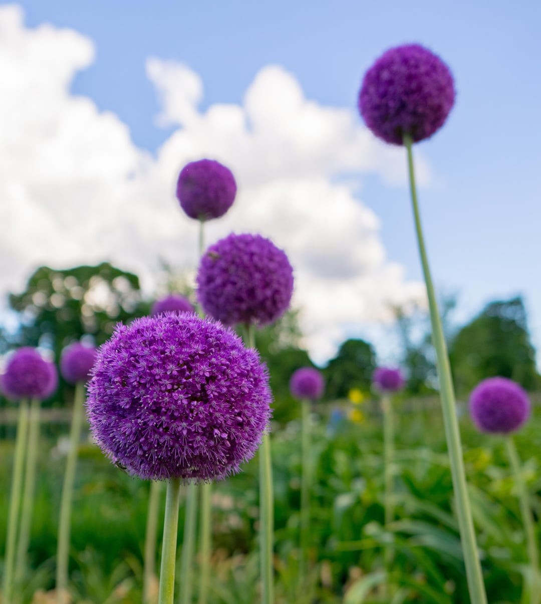 25. Геометрия весны