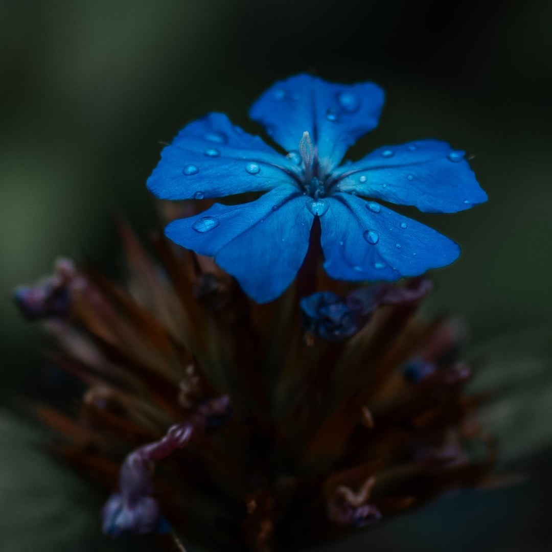 22. Расплескалась синева