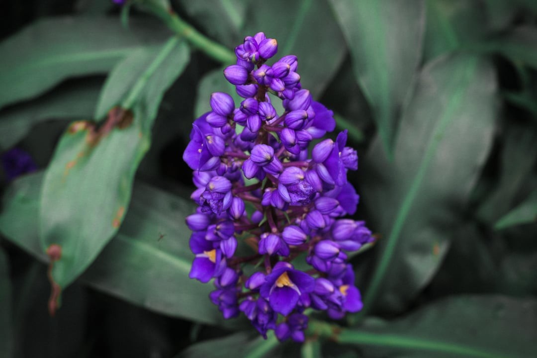 15. Сила красок